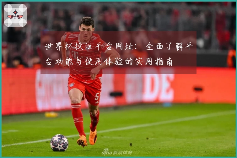 世界杯投注平台网址：全面了解平台功能与使用体验的实用指南