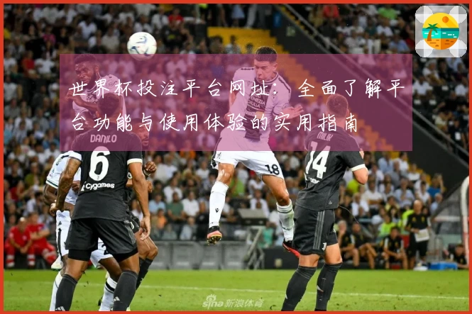 世界杯投注平台网址：全面了解平台功能与使用体验的实用指南